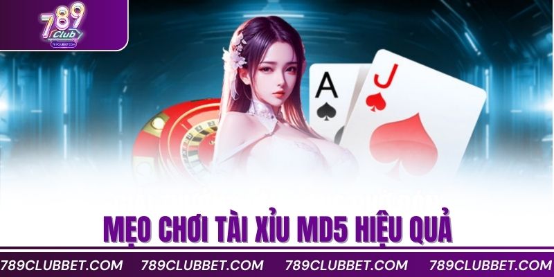 Mẹo chơi tài xỉu MD5 hiệu quả