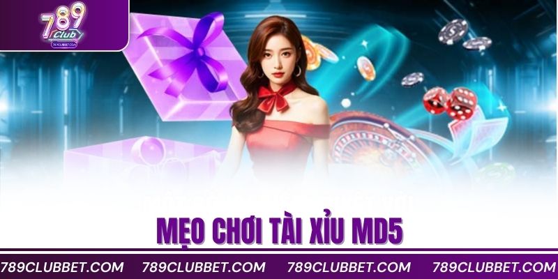 Mẹo chơi tài xỉu MD5