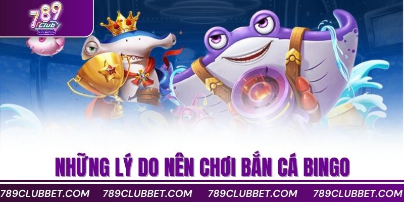 Top Mẹo Chơi Bắn Cá Bingo Giúp Bạn Thắng Dễ Dàng 2 Những lý do nên chơi bắn cá bingo