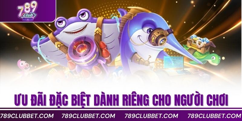Top Mẹo Chơi Bắn Cá Bingo Giúp Bạn Thắng Dễ Dàng 4 Ưu đãi đặc biệt dành riêng cho người chơi